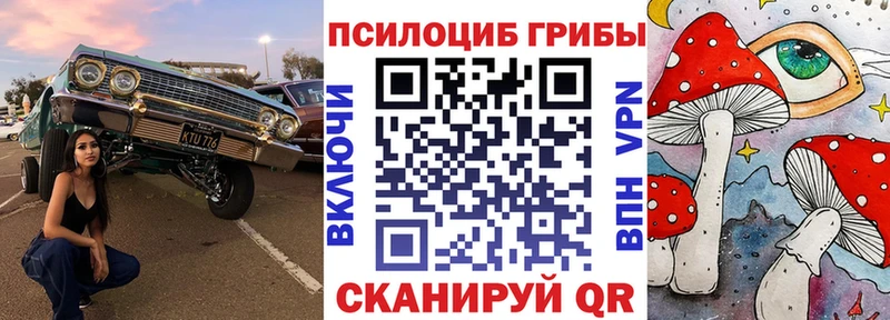 omg ССЫЛКА  даркнет сайт  Краснотурьинск  Псилоцибиновые грибы Psilocybine cubensis 