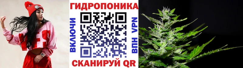 где купить   Краснотурьинск  Бошки марихуана Amnesia 